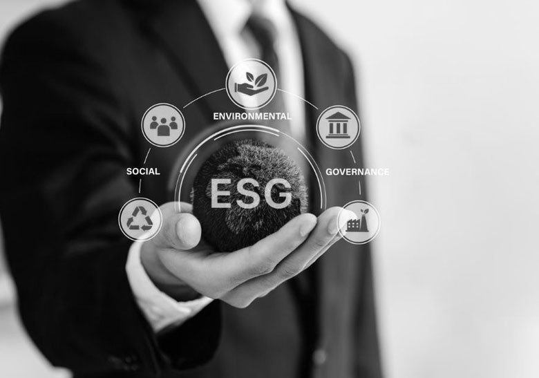 Integrating ESG into Your Business Strategy: A Step-by-Step Guide for Entrepreneurs